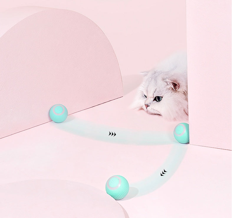 Smart Rolling Cat Toy Ball