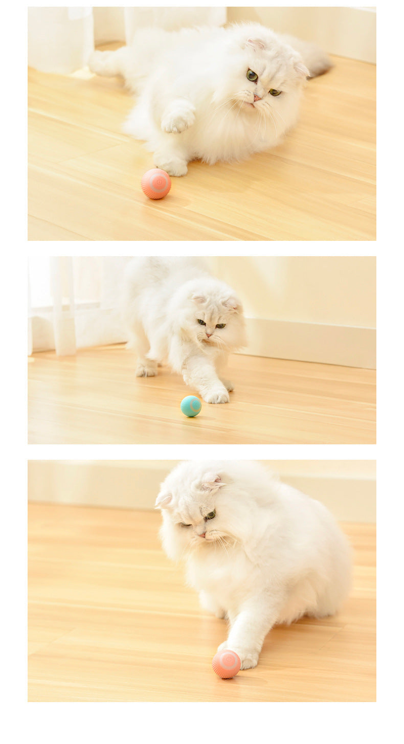 Smart Rolling Cat Toy Ball